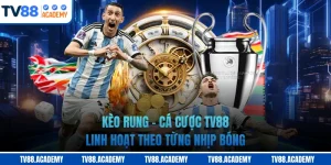 Kèo Rung - Cá Cược TV88 Linh Hoạt Theo Từng Nhịp Bóng